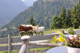 Waldhof Alpine hut