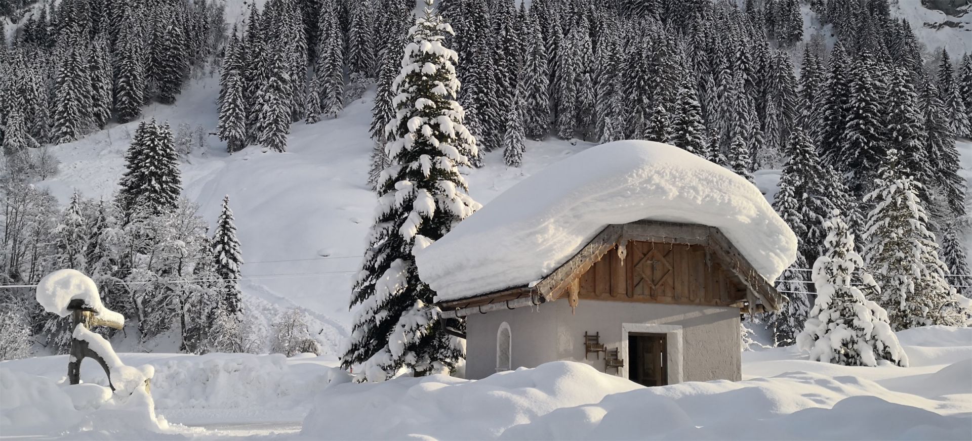 Waldhof in winter