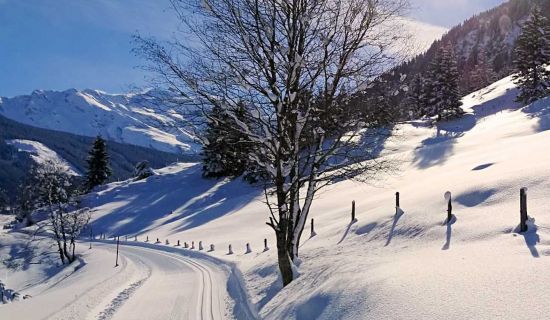 Cross-country skiing