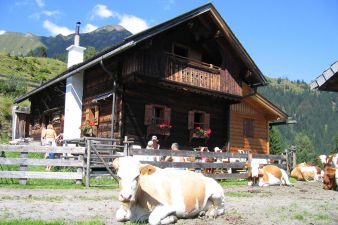 Waldhof Alpine hut