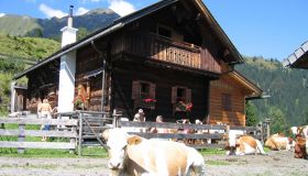 Waldhof Alpine hut