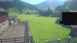waldhof webcam2 24.06.2025 09:30